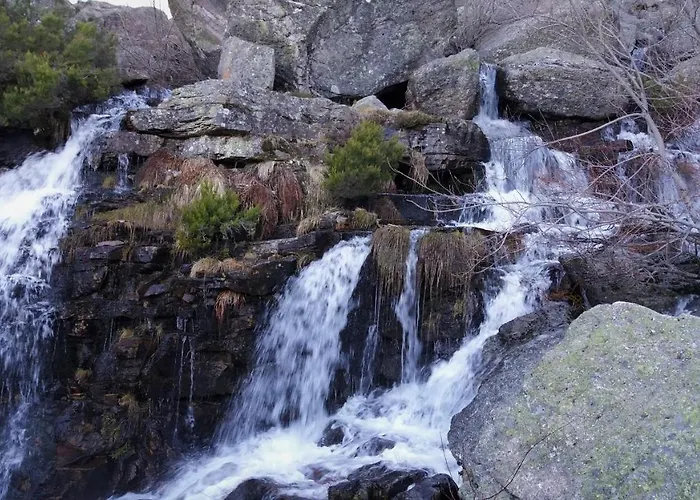 Trashumantes Molinos de Duero
